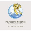 Pawesome Pooches Grooming Salon Guam - Logo